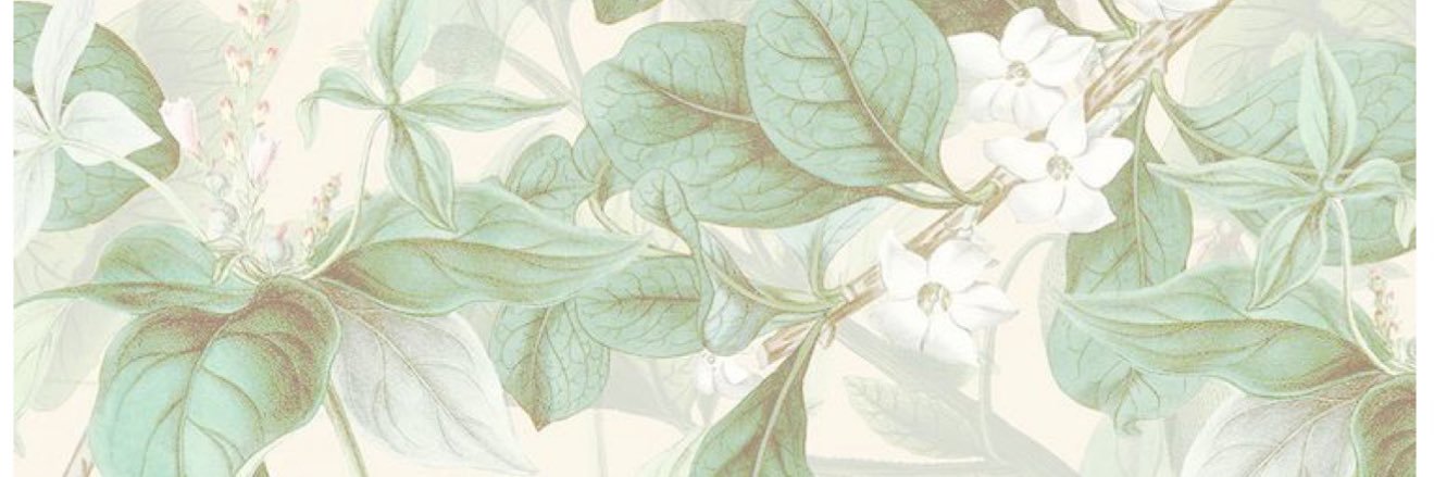 evlore0's profile banner image