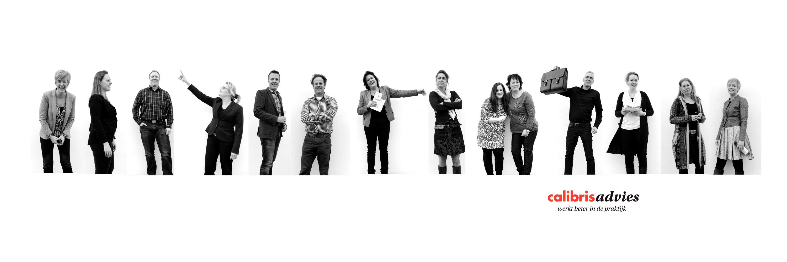 CalibrisAdvies banner