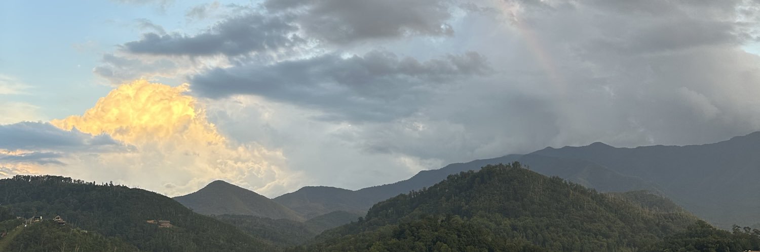 toritaylorx's profile banner image