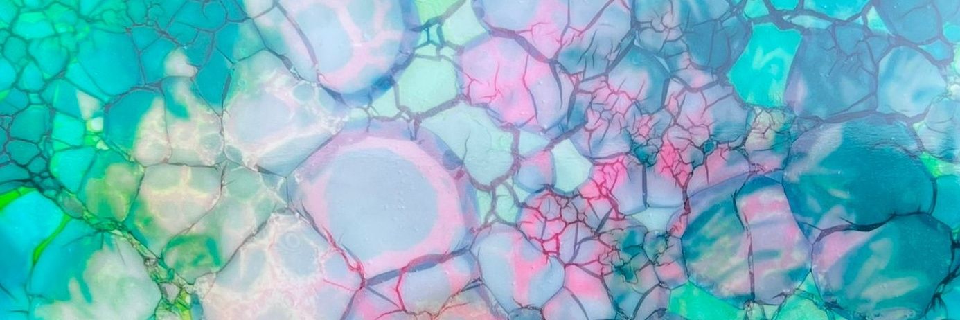 Sorrell Walsh banner