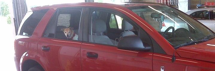 Judy Hutchinson 🌻💙💛🌻 banner