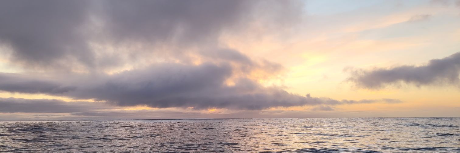 QRHcooper's profile banner image