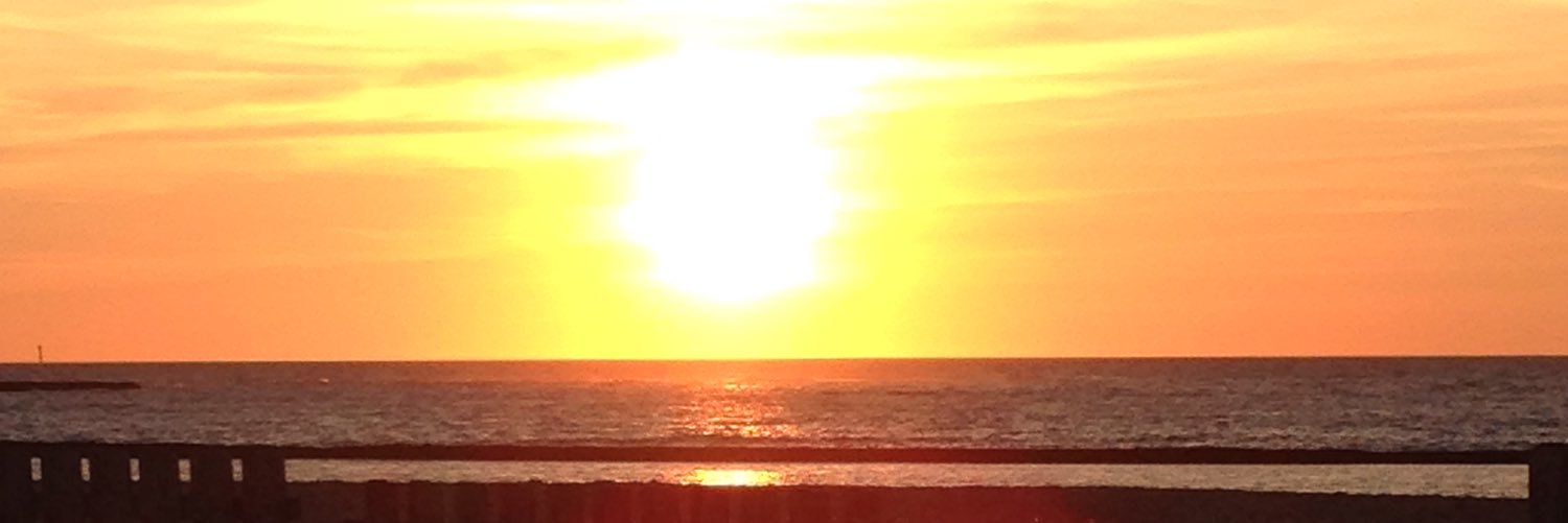 elonsal79's profile banner image