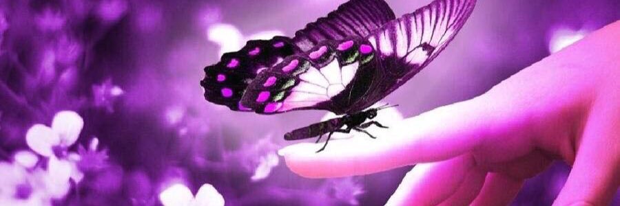 alshami909's profile banner image