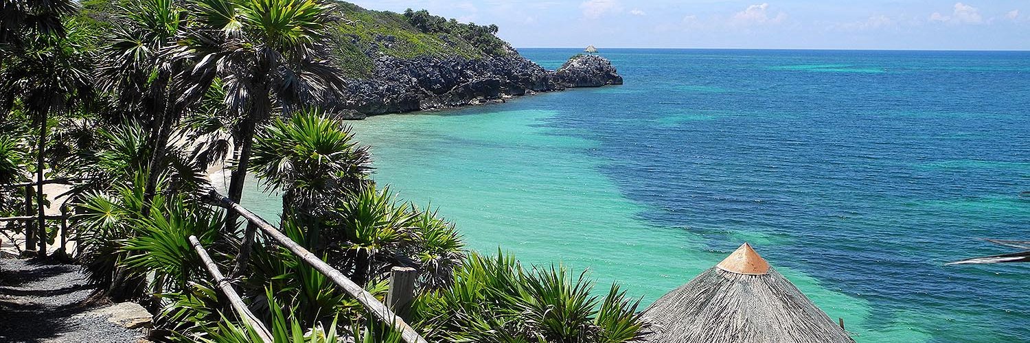 Davinci McNab banner