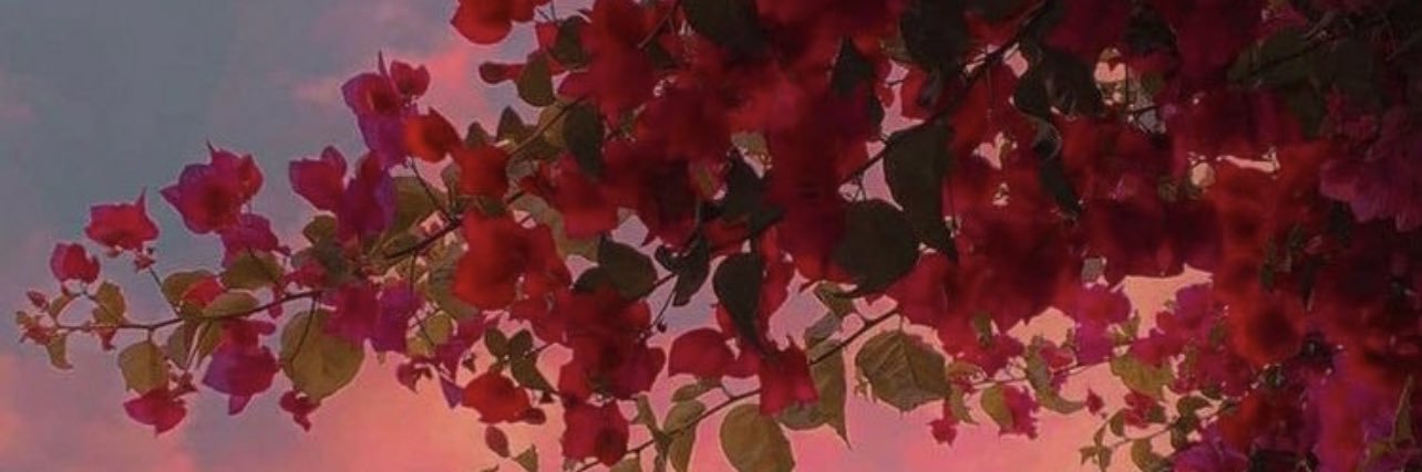 hkayseee's profile banner image