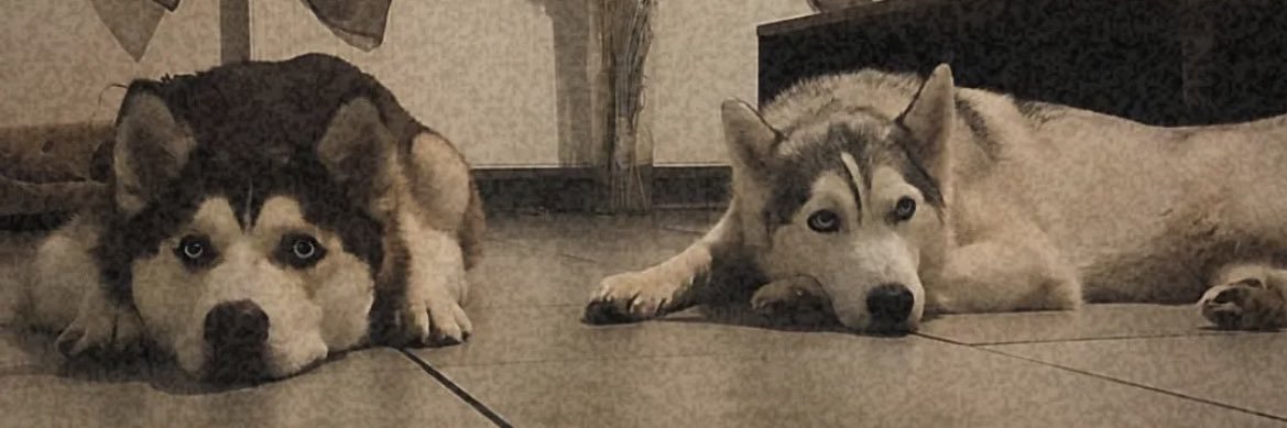 ProisyCamille's profile banner image