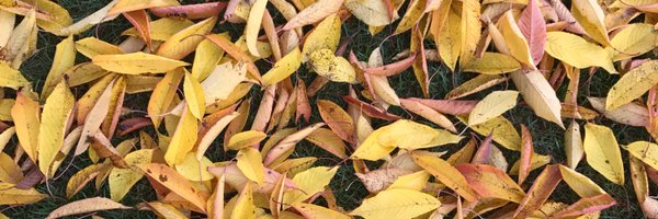 annafriel Profile Banner