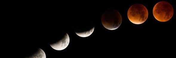 ▪️ banner