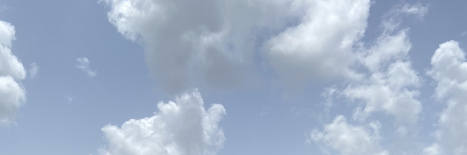 bee banner