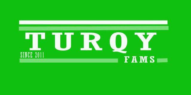 RepublicLivelyDancer banner