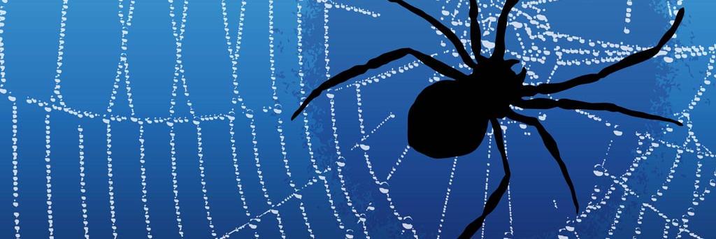 WebsDeveloper69's profile banner image