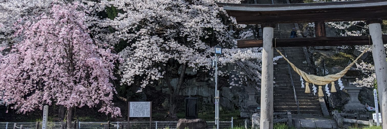 mon_mon_desu's profile banner image