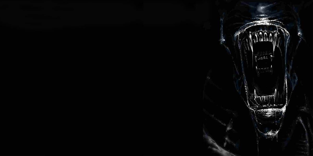 MadAnimat0r's profile banner image