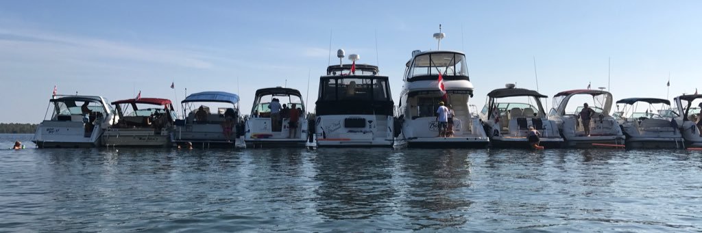 Jamie MacDonald banner