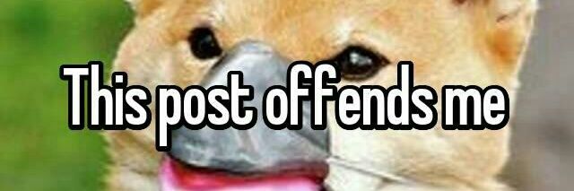 TimeToDiddleRT's profile banner image