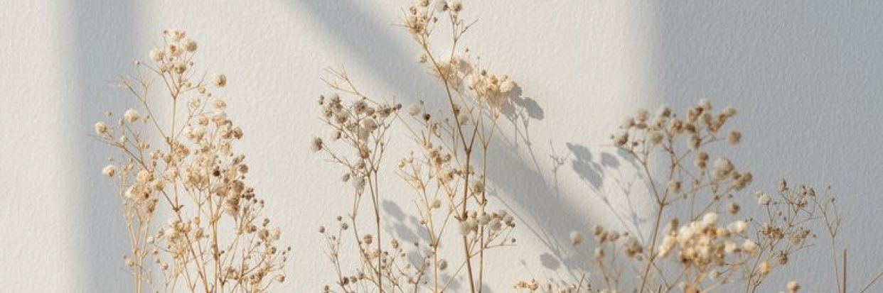 avasimat's profile banner image
