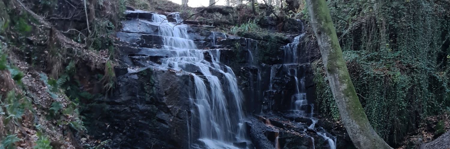 Peter Syddall banner