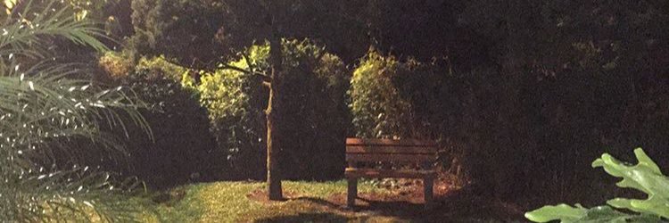 Faixal banner