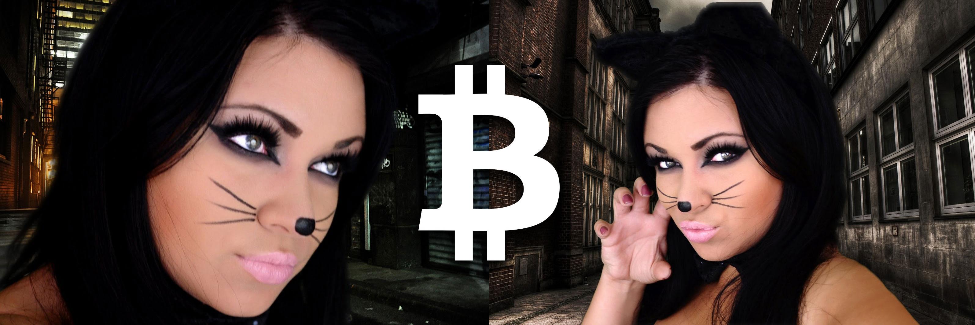 BitcoinKitten's profile banner image