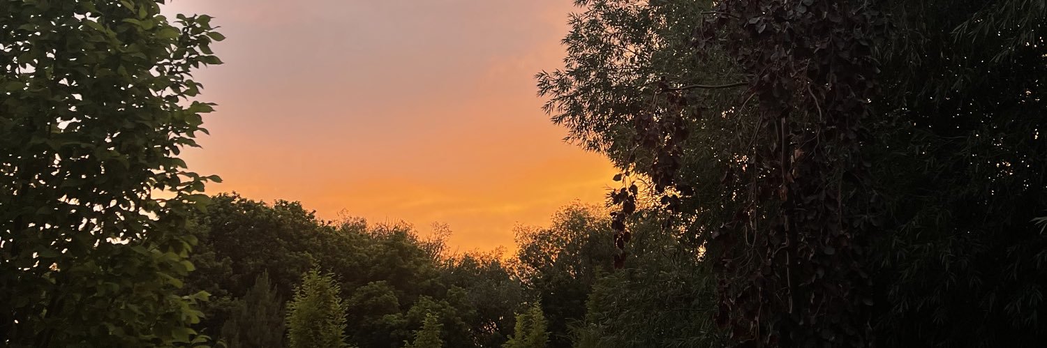 hallebaum's profile banner image