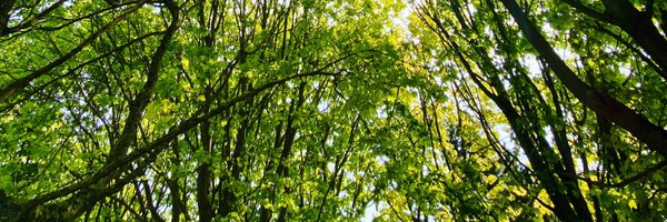 rufarofaithh Profile Banner