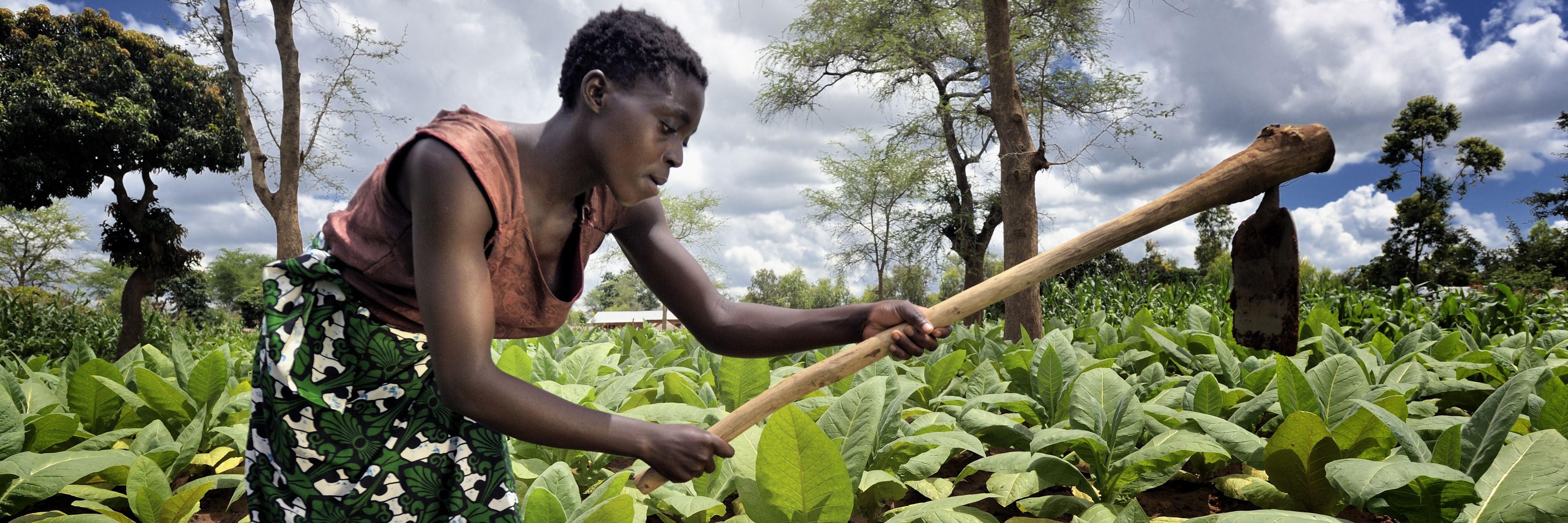 Birgitte Qvist-Sørensen banner