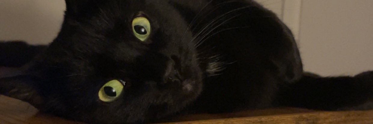 notgaysam's profile banner image