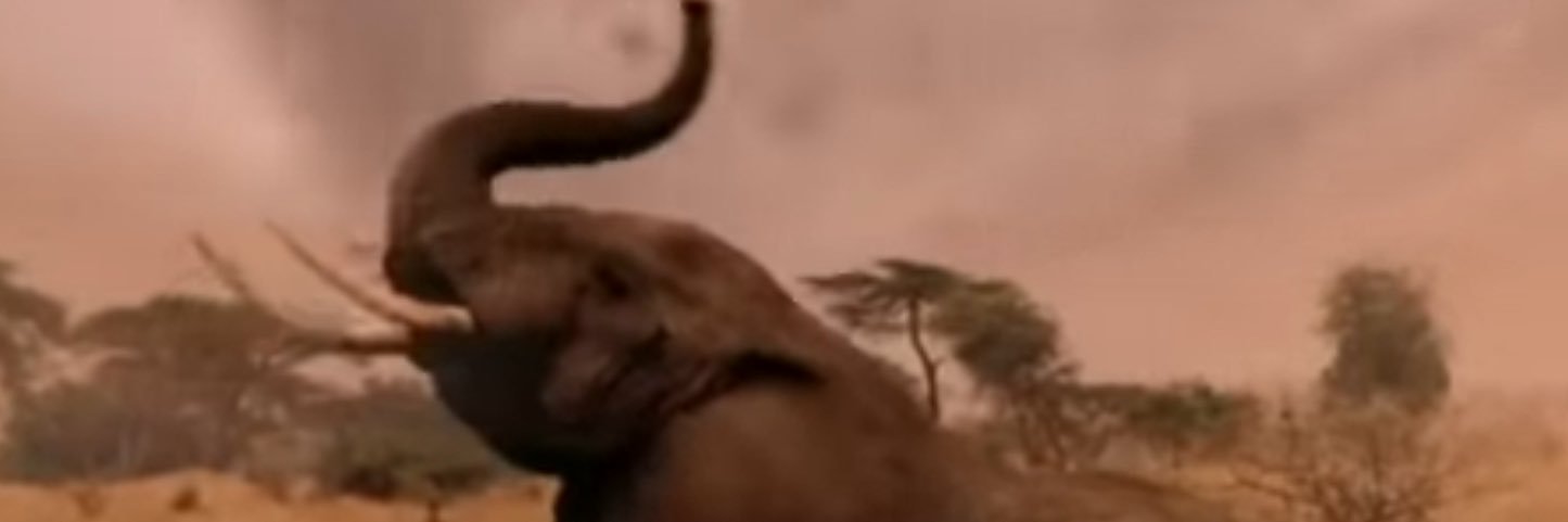 karen Khaleesi banner
