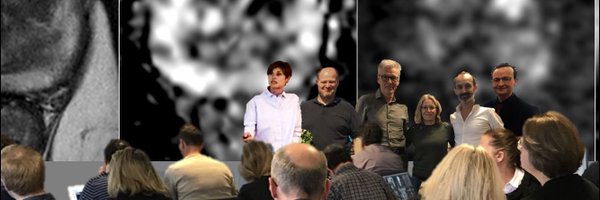 vbloegager Profile Banner