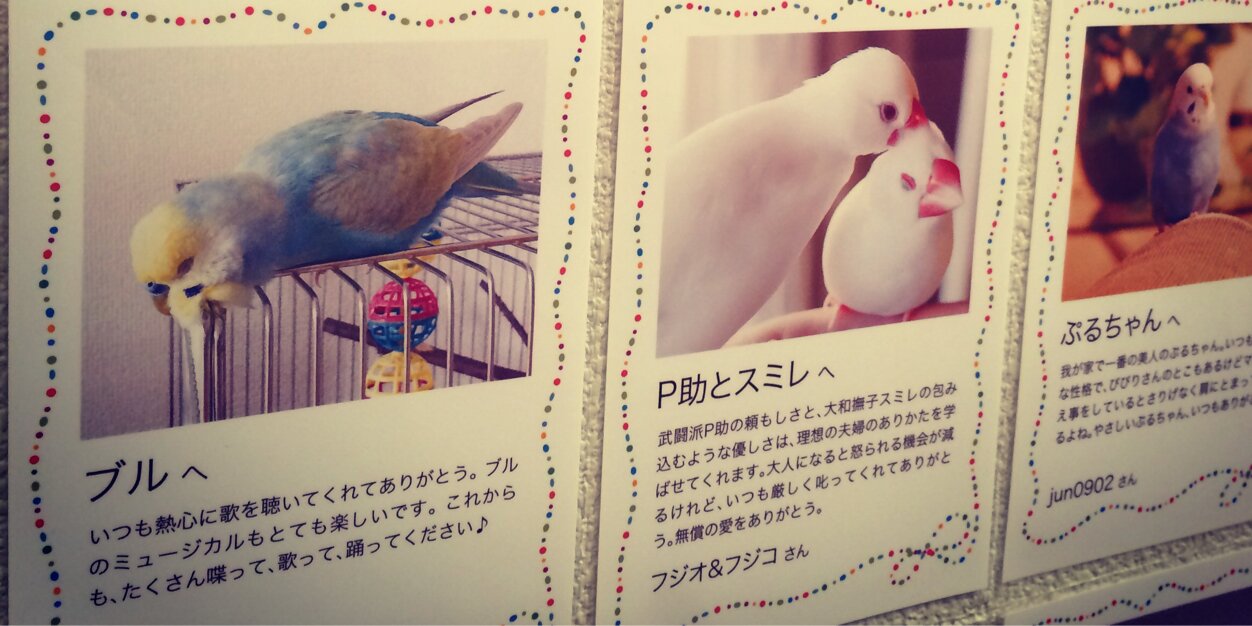 tama517's profile banner image