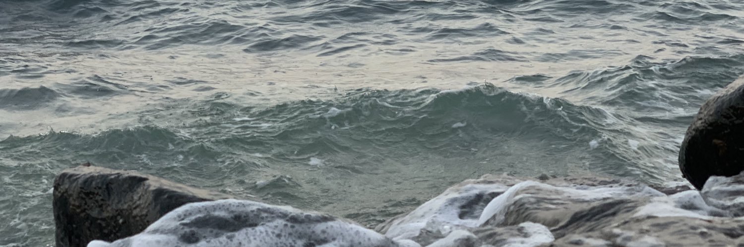 afhsm29's profile banner image