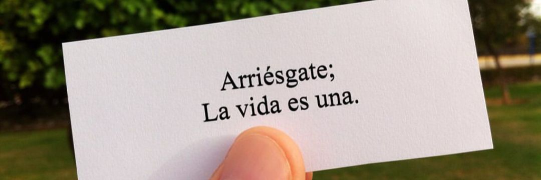 AliPaos's profile banner image