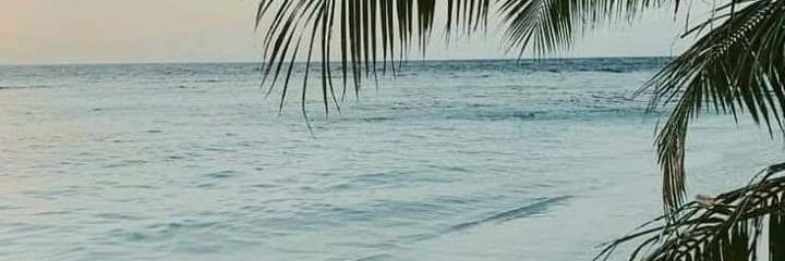 jshkm's profile banner image