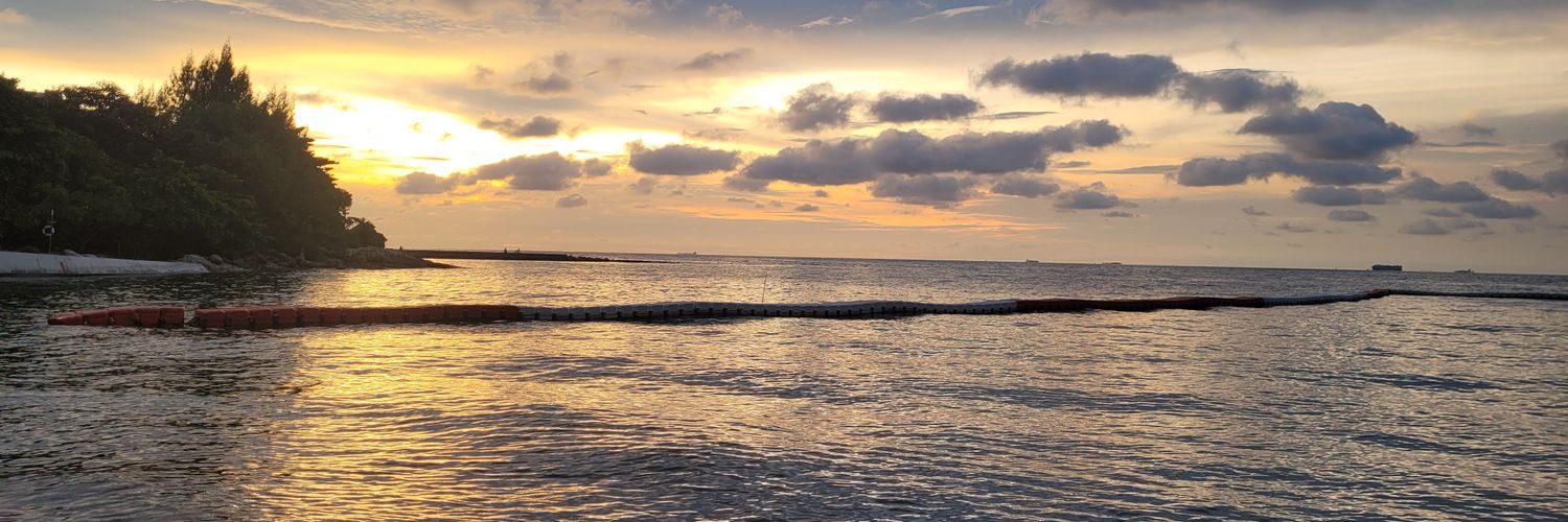 Fonsueana's profile banner image