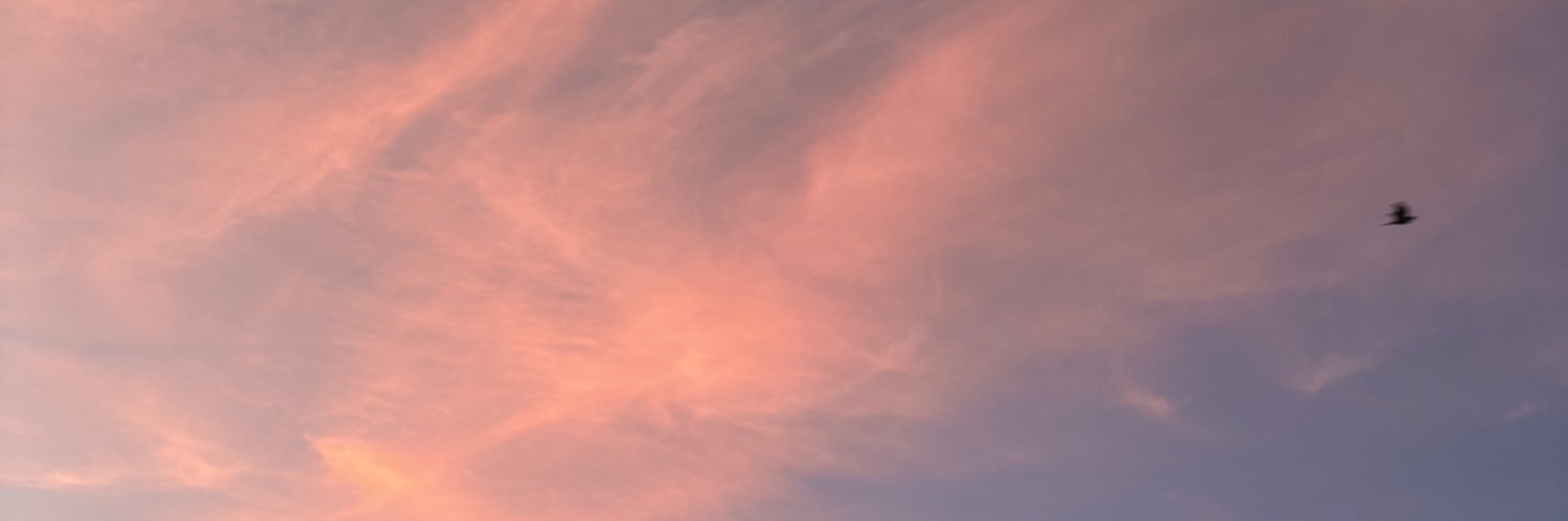 AveryVilano's profile banner image