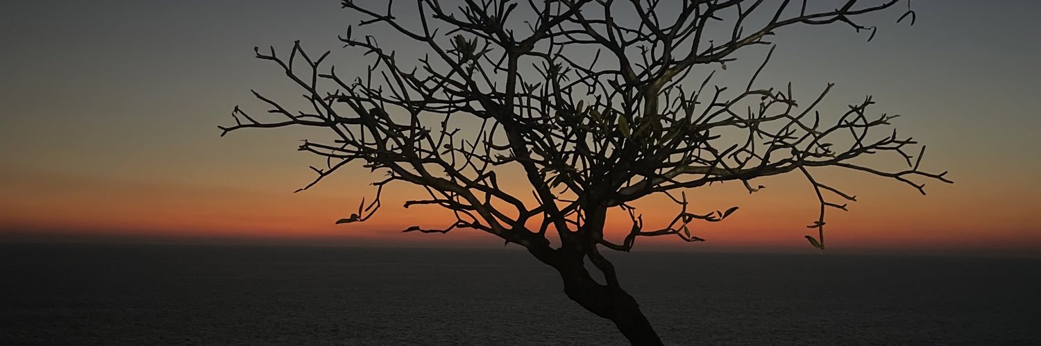 JulioVP_'s profile banner image