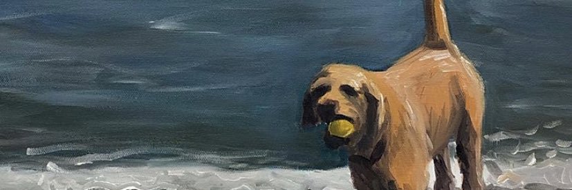 swagmoneymollo banner