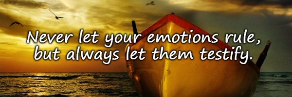 DrPsychNinja Profile Banner