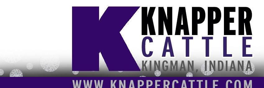 knapper_cattle's profile banner image