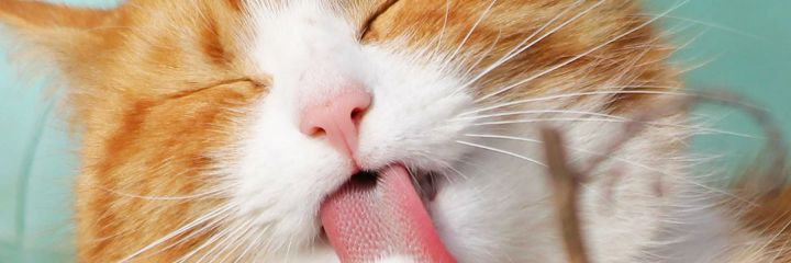 maygittt's profile banner image