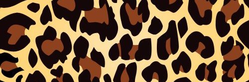 TaylahSmith1's profile banner image
