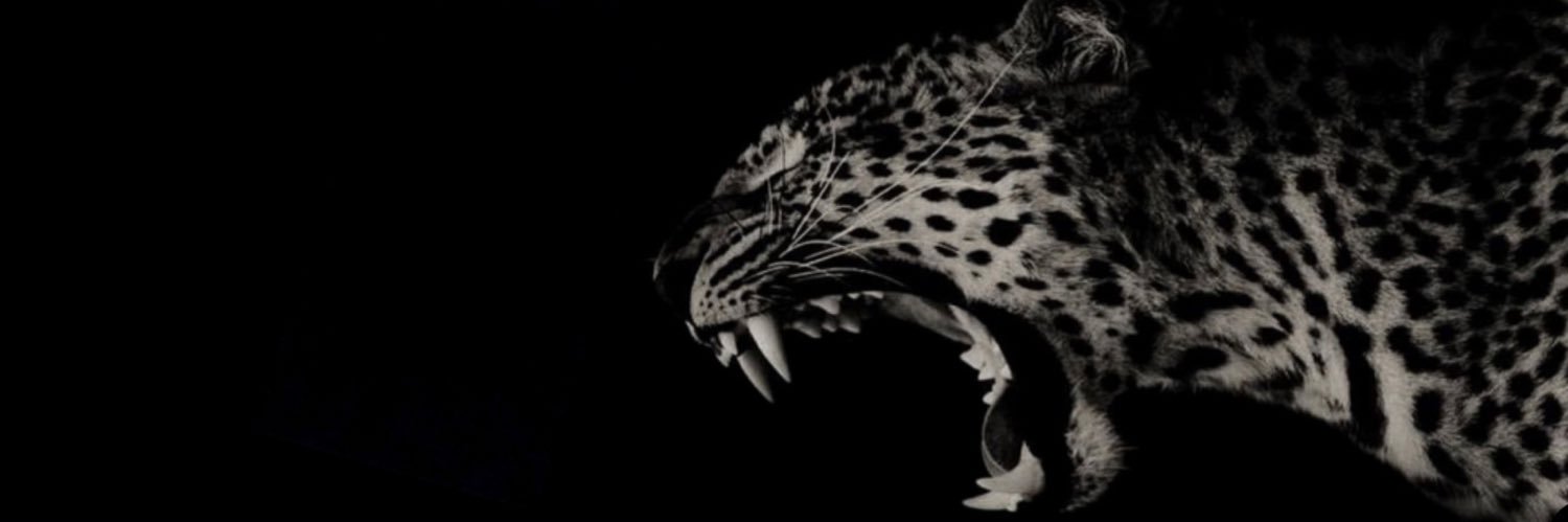 shawnmonaee's profile banner image