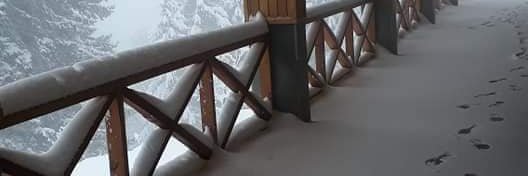 seloxx8's profile banner image