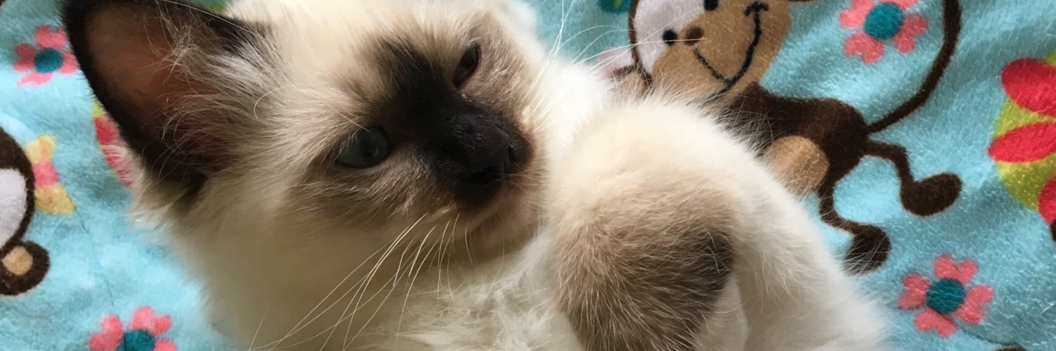 Annette Allanson banner