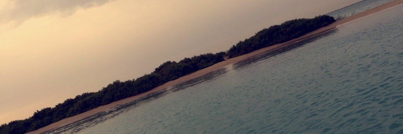 Ghaida. banner