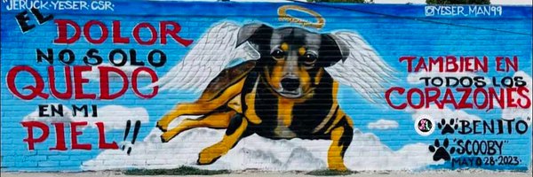 Fer_Ortega25 Profile Banner