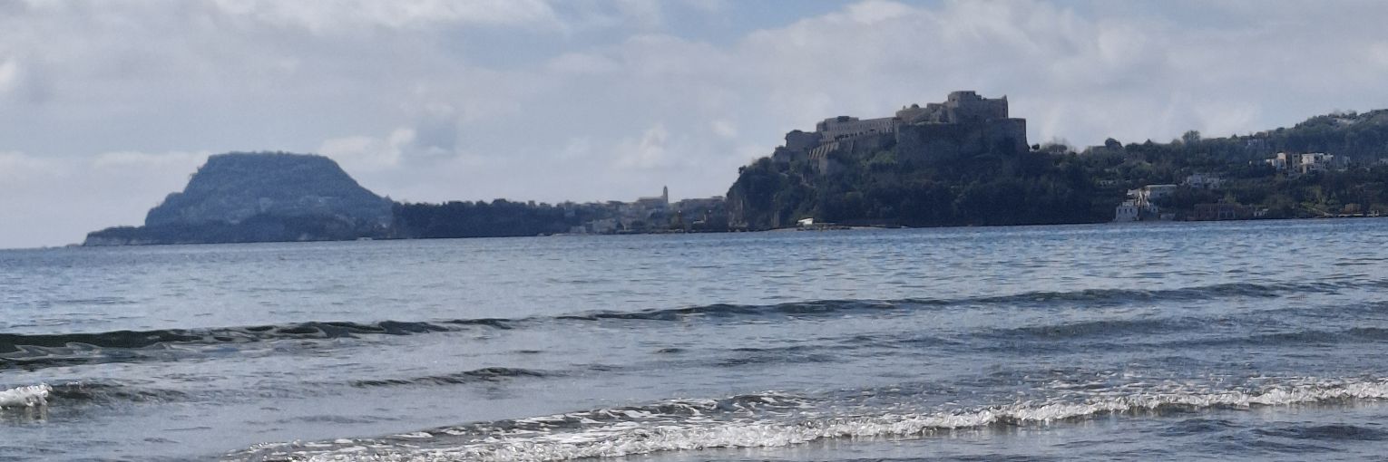 Tiziana banner