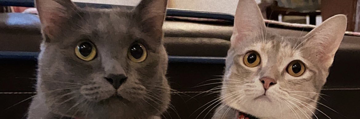 KzKead's profile banner image