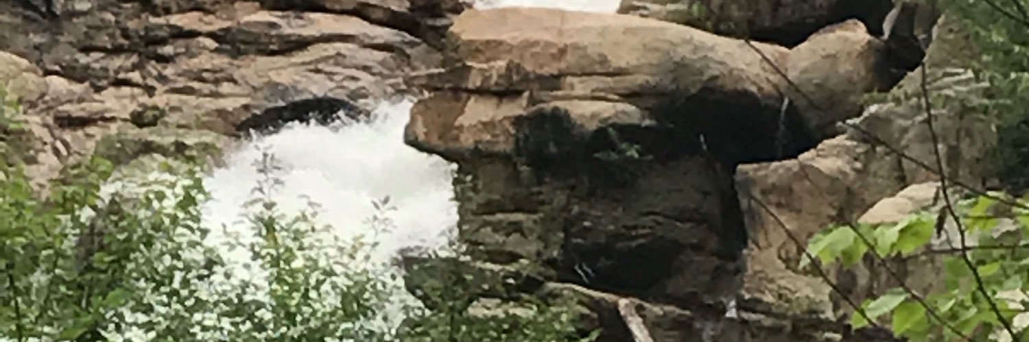 EMBtrout's profile banner image